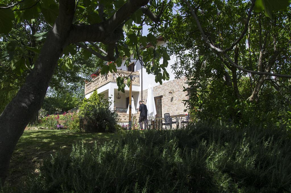 La Locanda Del Picchio Country House Morro dʼOro Exterior foto